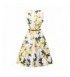 Fashion Women's Casual Dresses Outlet Online