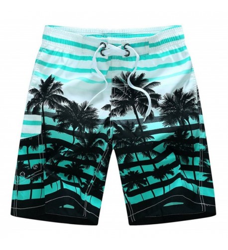 Coconut Printed Stripe Shorts Trunks