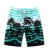 Coconut Printed Stripe Shorts Trunks