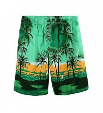 Men's Casual Printed Beach Board Shorts Hawaiian Quick Dry Swim Trunks ...