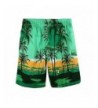 2018 New Men's Swim Board Shorts