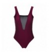 Plunge Panel Swimsuit Bathing Winered